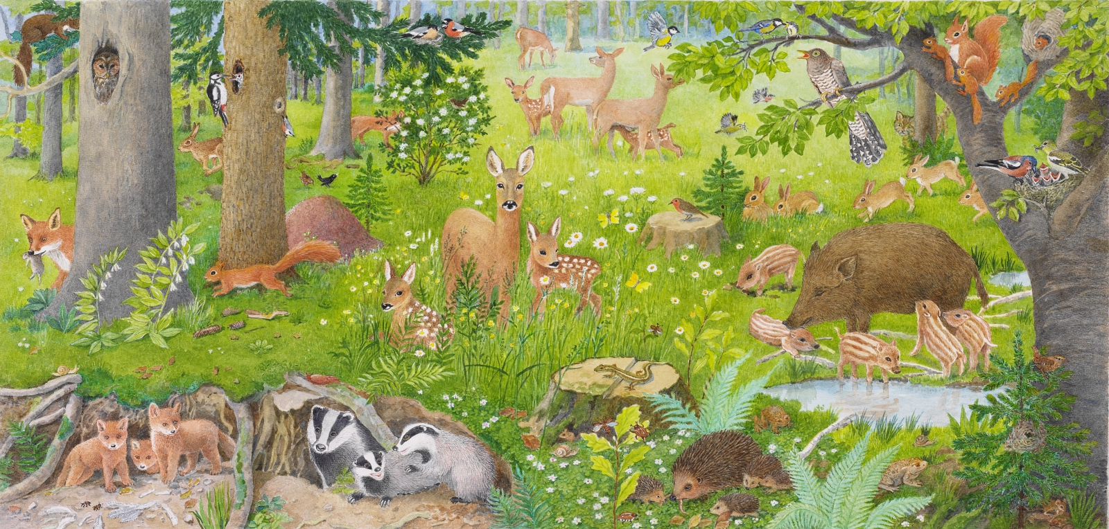 Tiere im Wald | Dorothea Desmarowitz